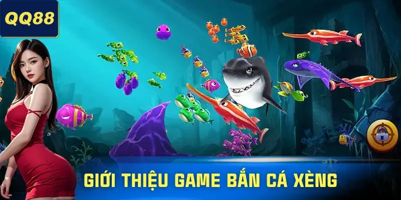 ban-ca-xeng-gioi-thieu